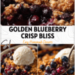 Homemade Blueberry Crisp with oat topping baked until golden and bubbling with fresh blueberries. 2026